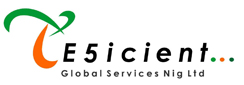 E5icient Logo